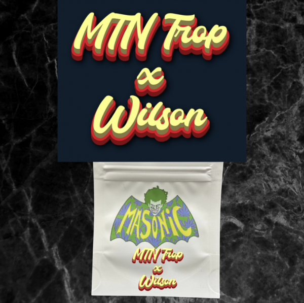 MTN Trop x Wilson